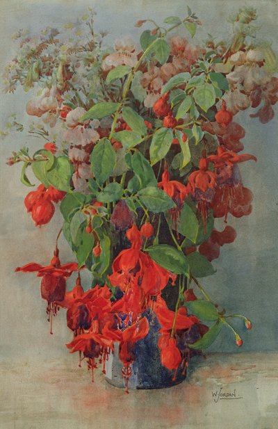 Fuchsia and Snapdragon in a Vase by William Jordan